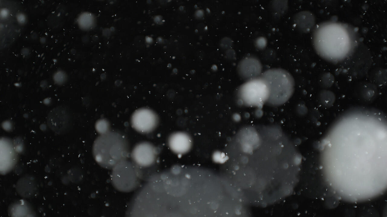 Wei&szlig;e schwebende Partikel vor schwarzem Hintergrund 